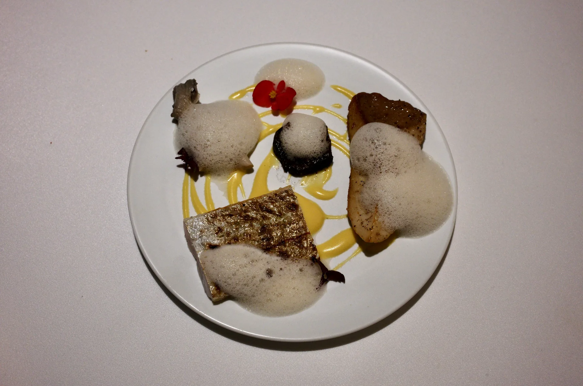 Palate — photo 4