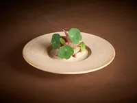 ima — food