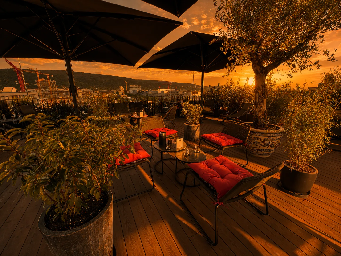 Qube Restaurant Bergheim — photo 23
