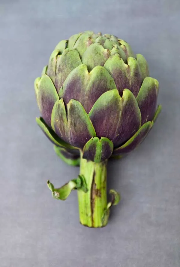 Verdi-Einkehr — food