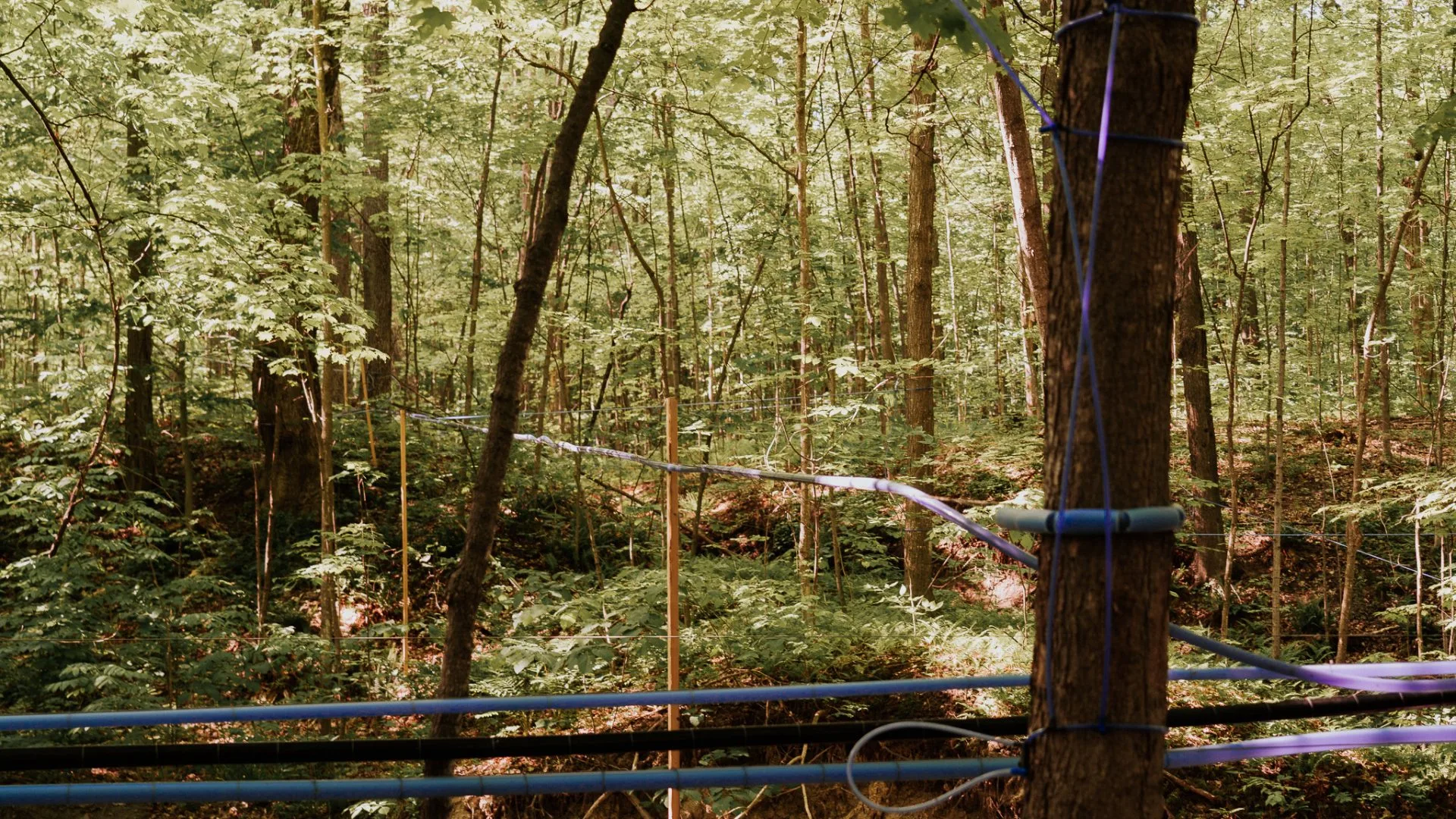 La Cabane du Coureur — photo 4
