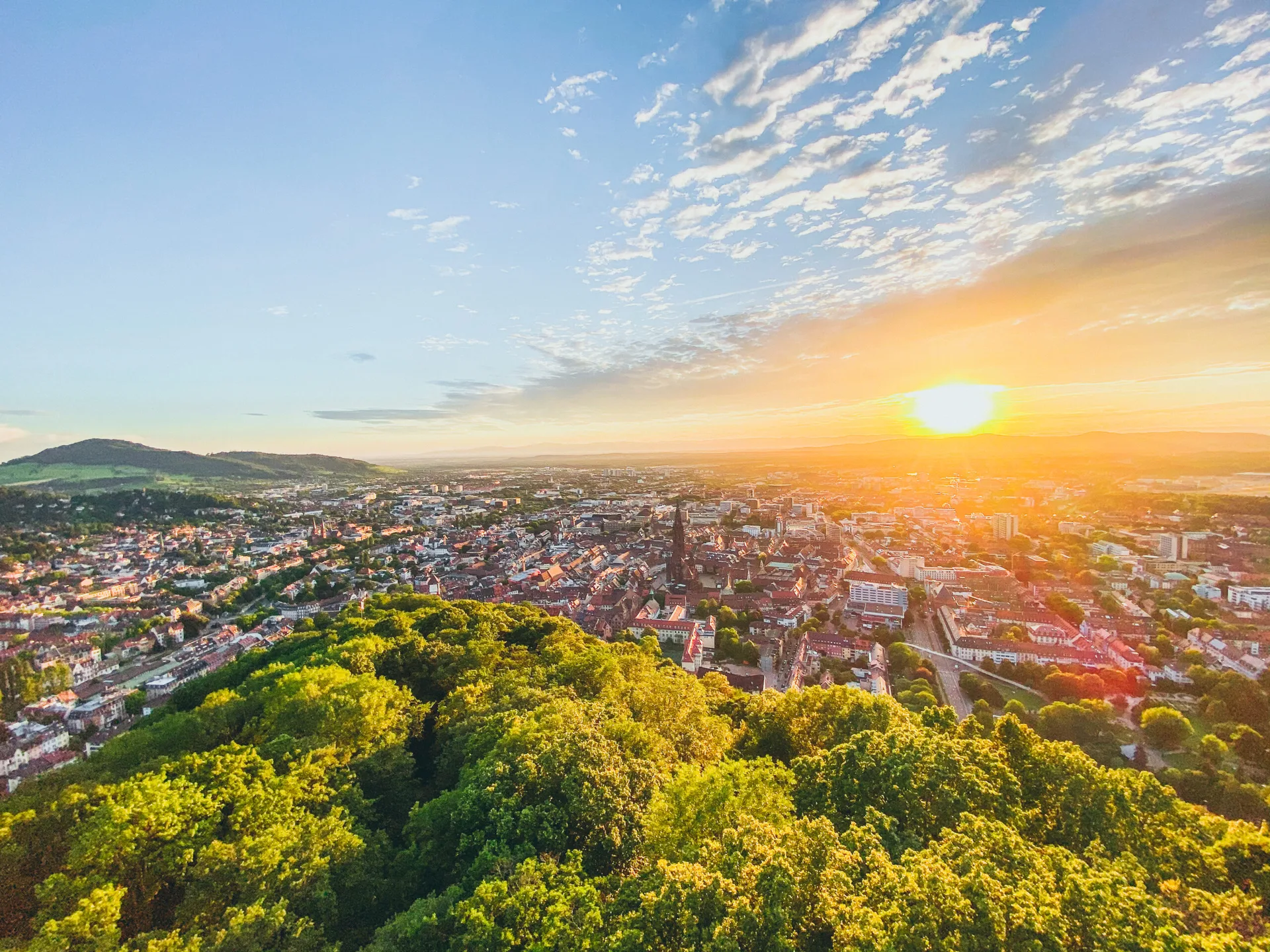 LUISE, Freiburg