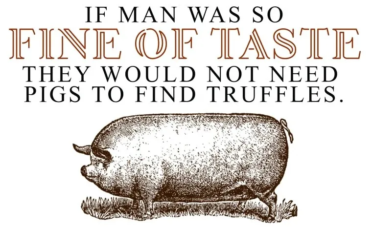 De Utrechtsedwarstafel — food