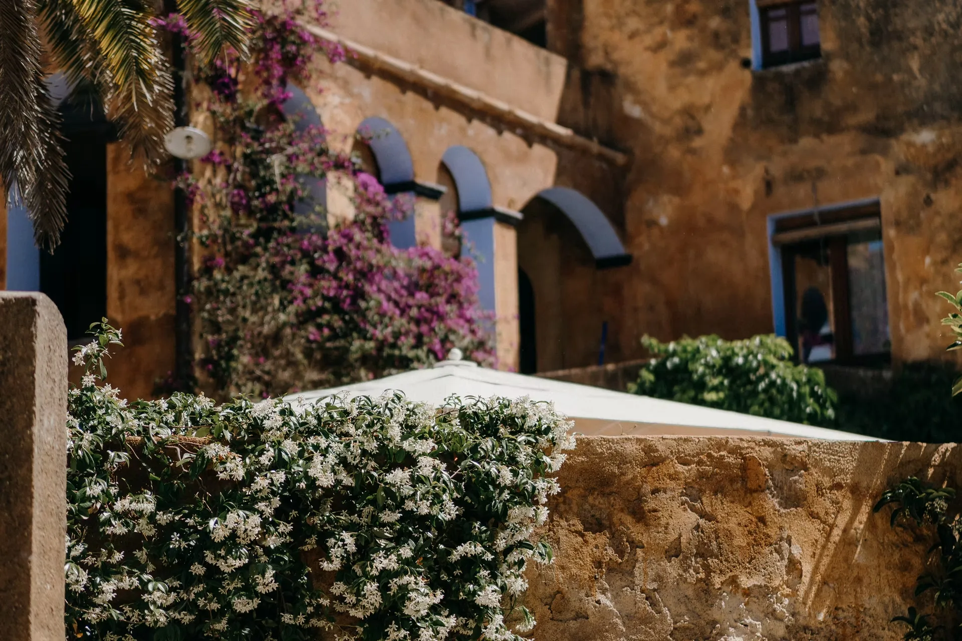 L'Eixida, Palafrugell