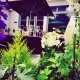 Maison Demarcq — food