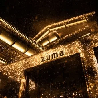 Zuma — photo 37