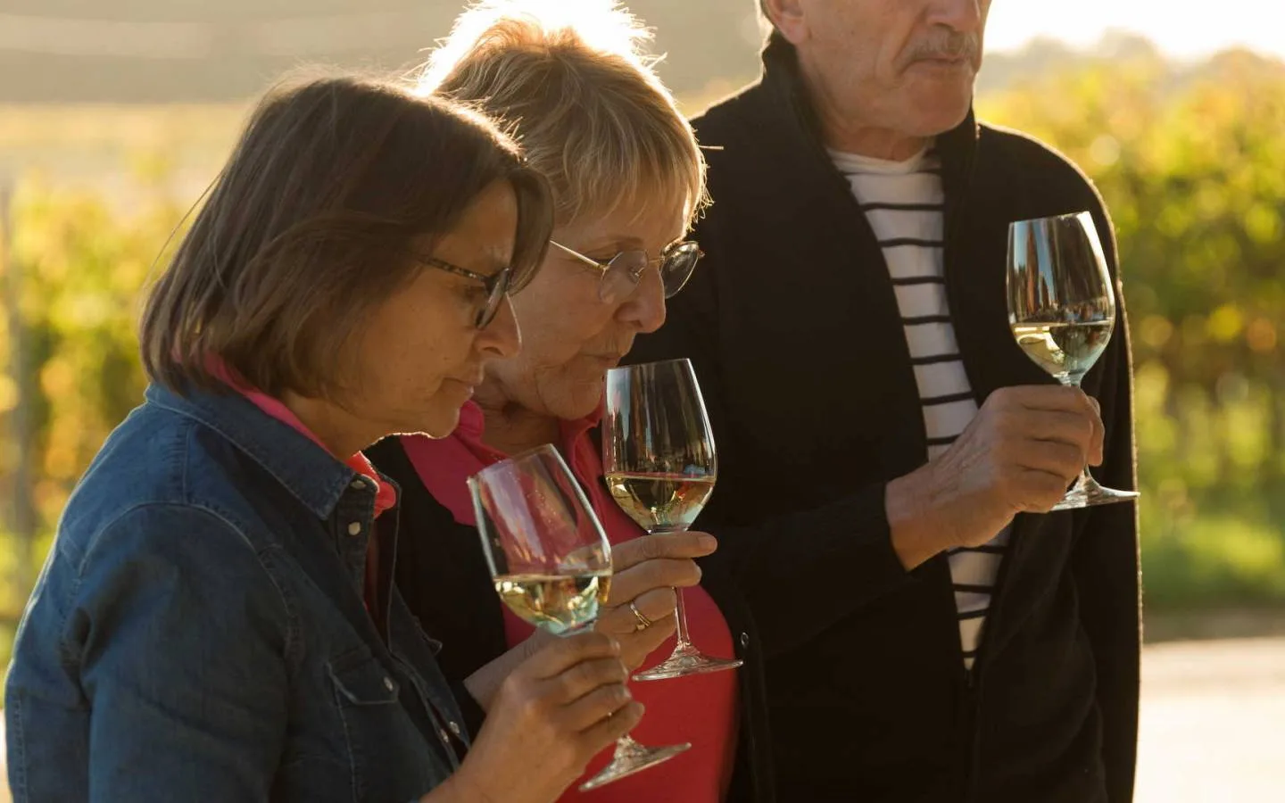 Château Fage - La Maison des Vignes — drink