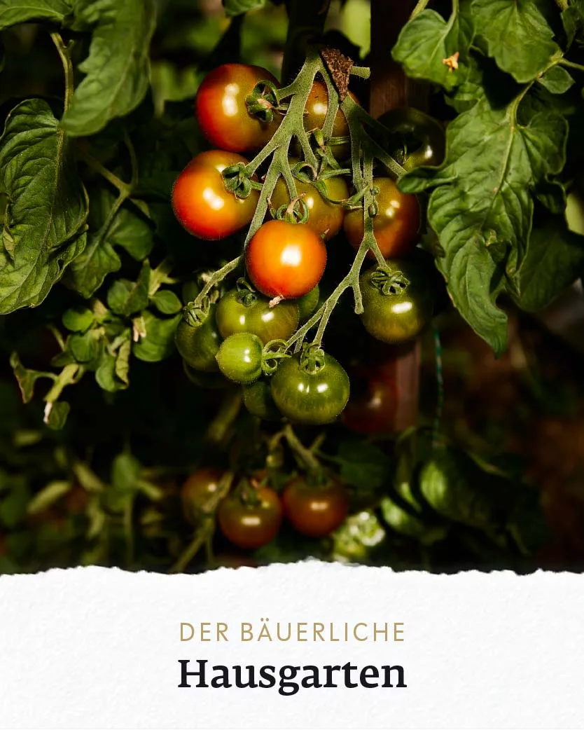 Schwaigerlehen – Berngarten — photo 20