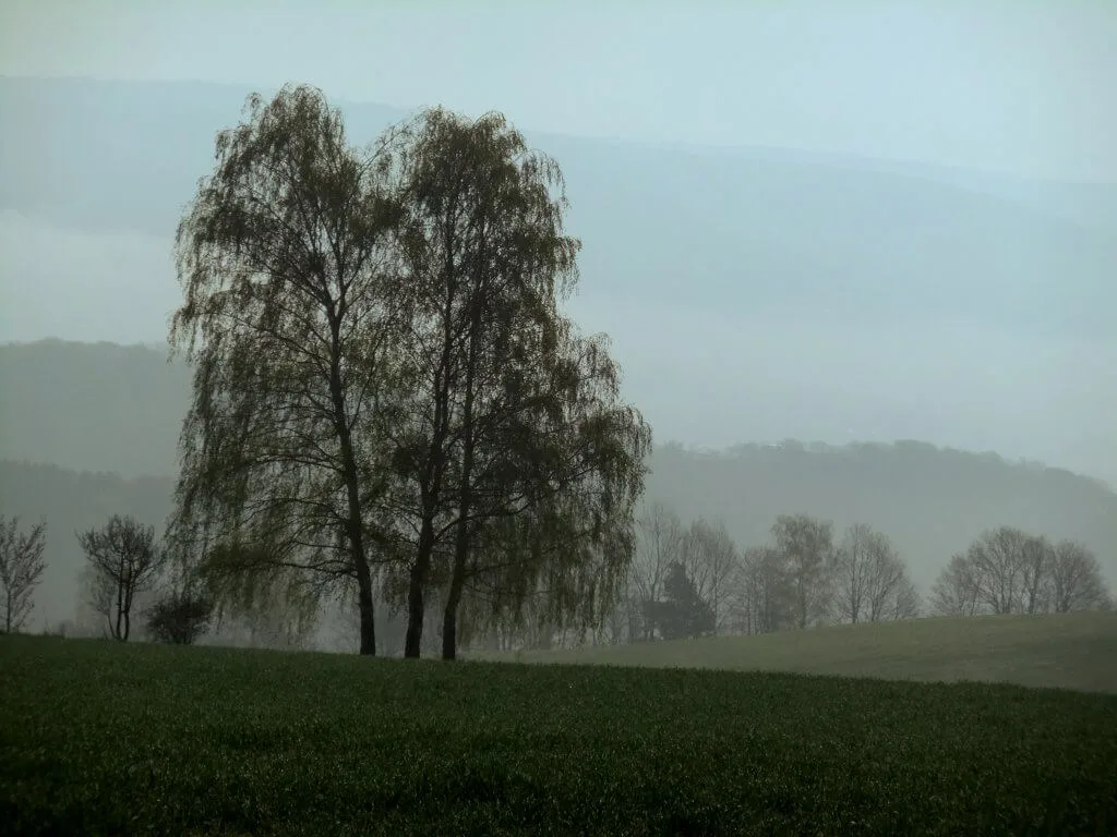 Landhotel Windlicht — photo 20