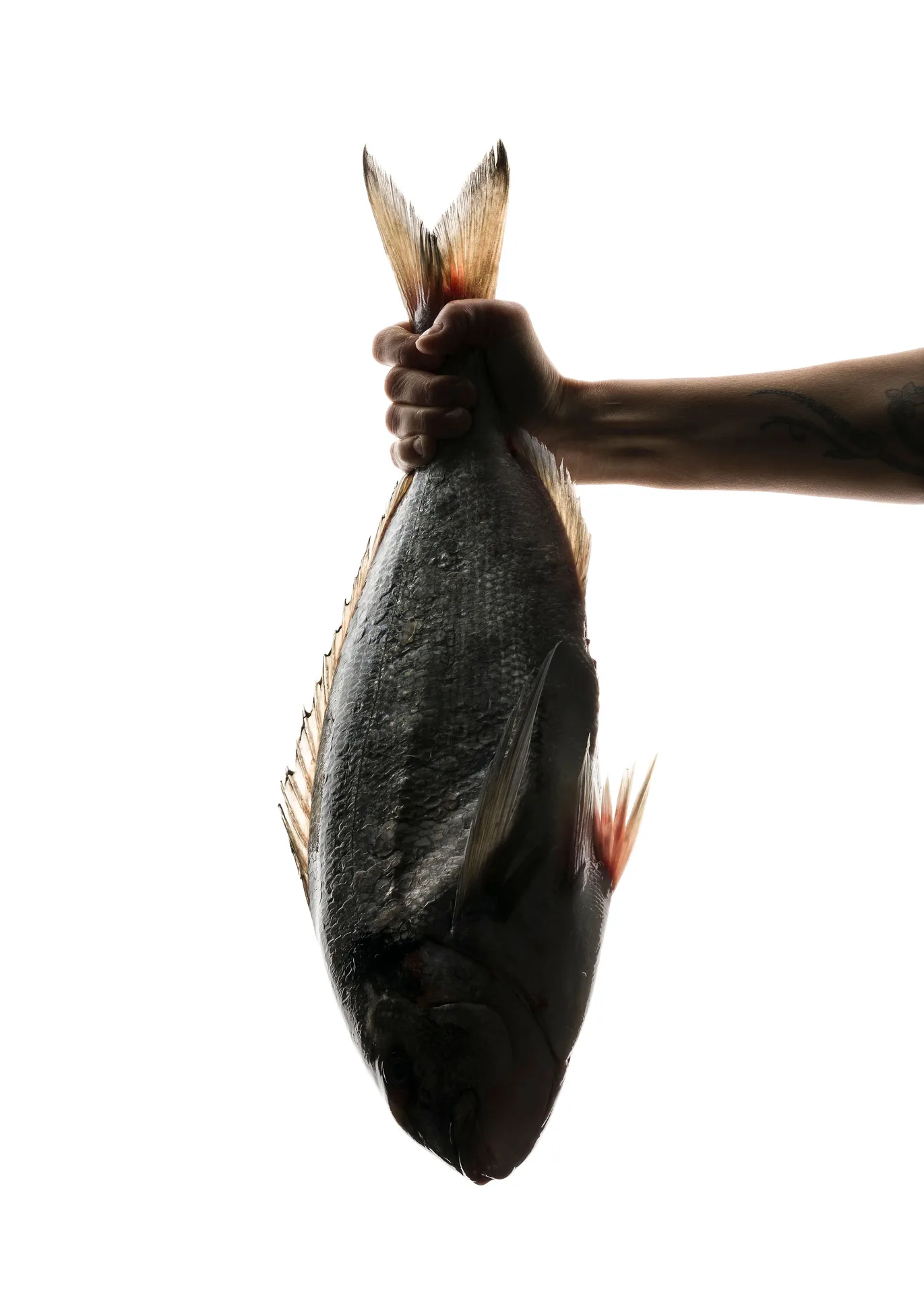Cécila — food