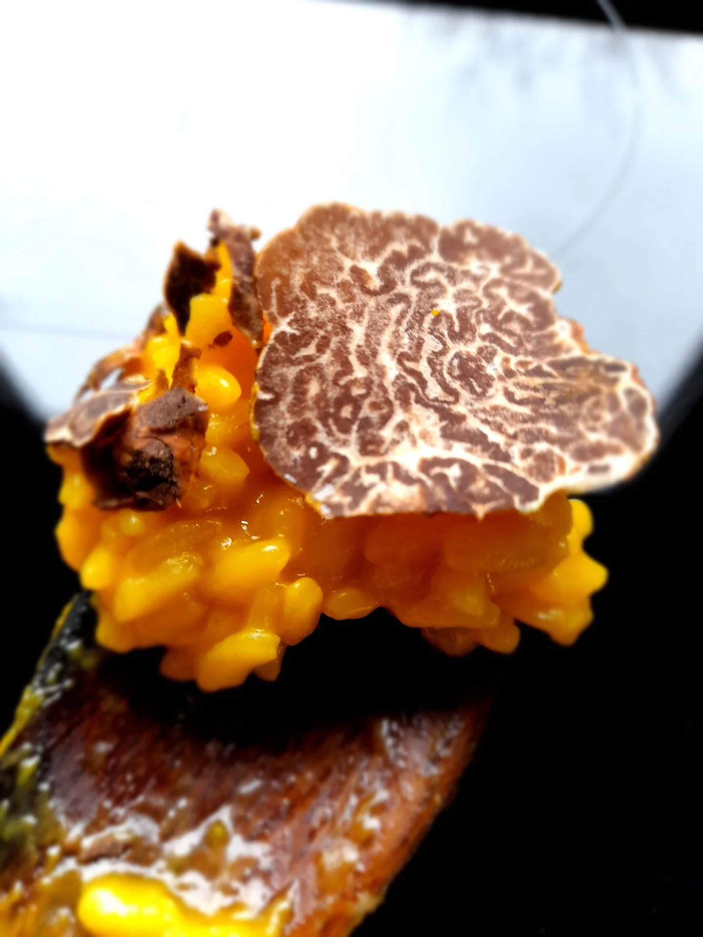Le Cicale — photo 11