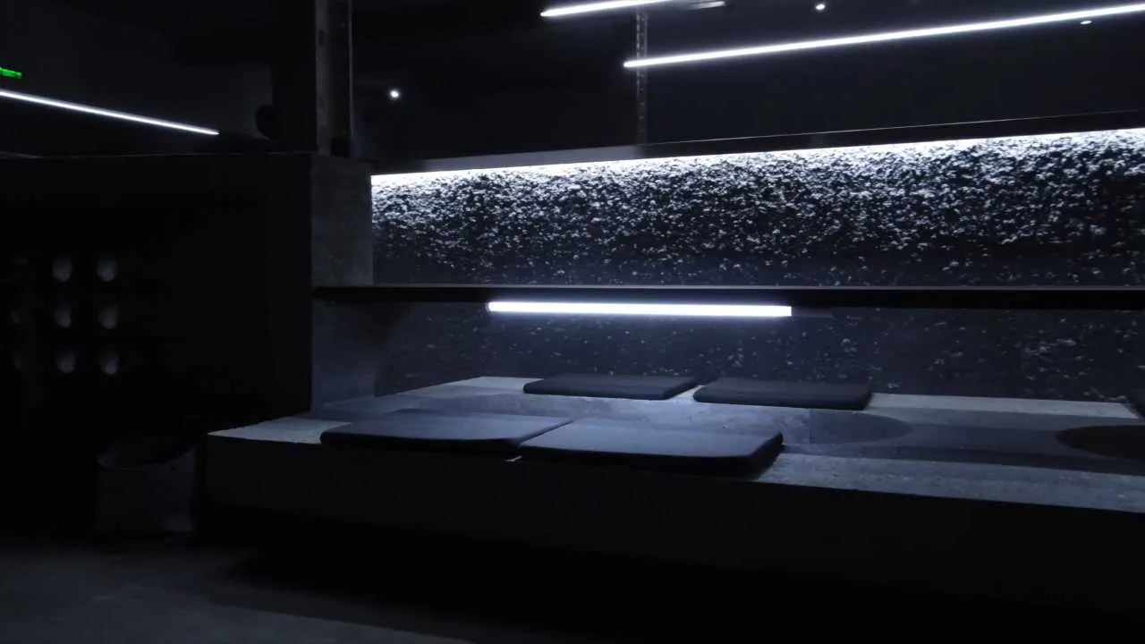Dojo — photo 39