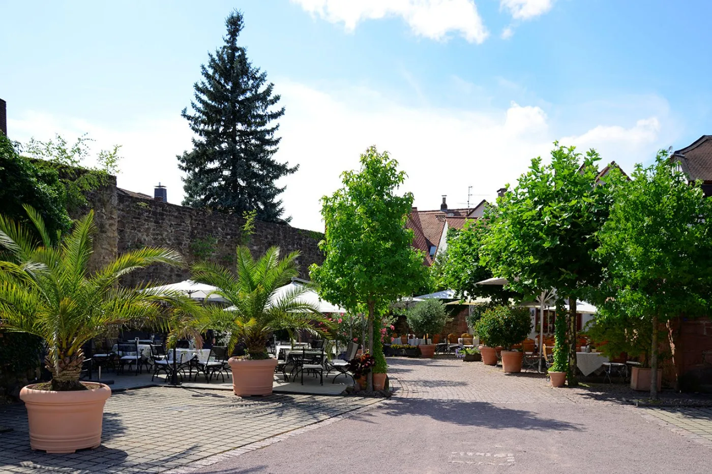 Gasthaus Zum Grünen Baum — photo 51