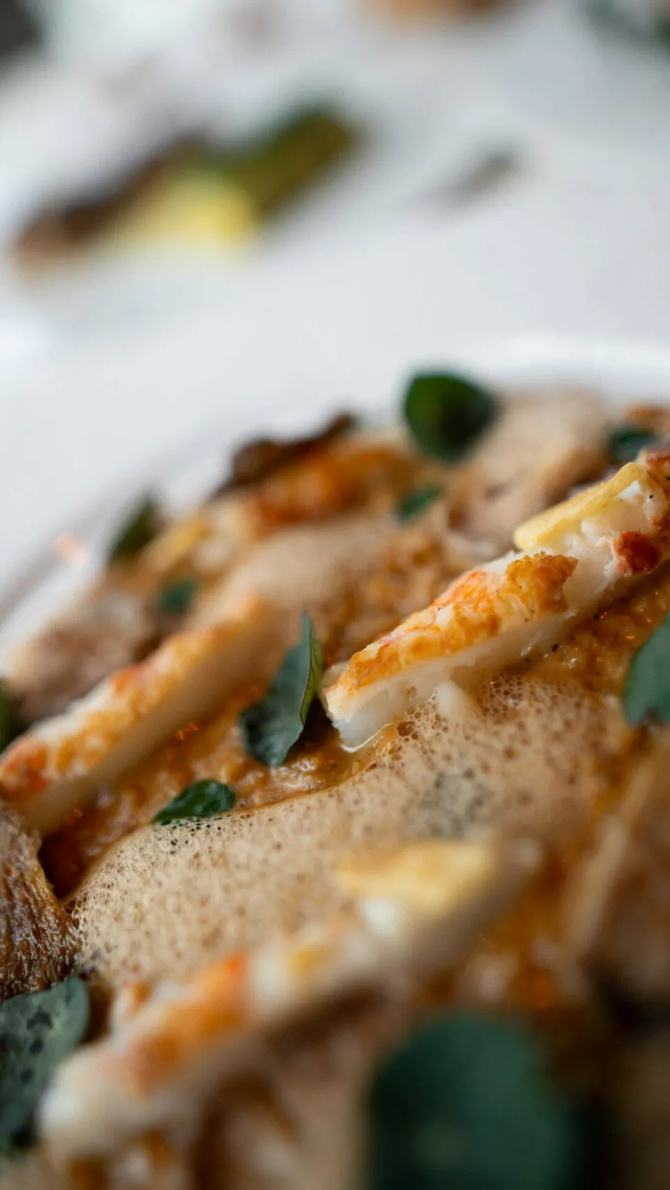 LANGOUSTE — photo 27