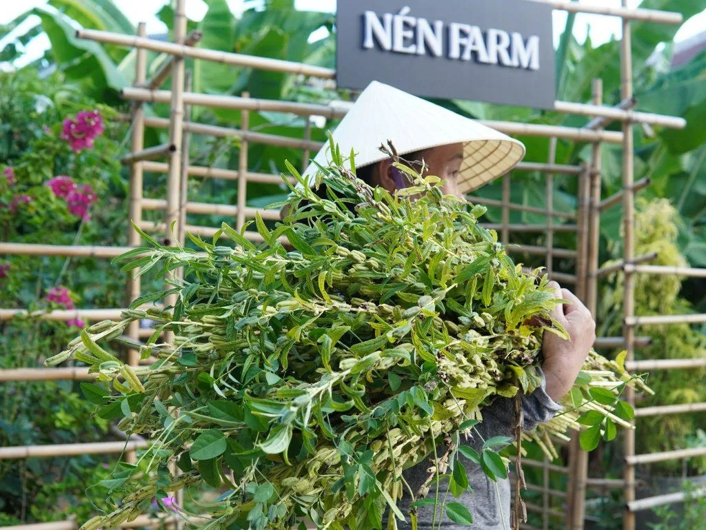 Nén Danang — photo 9