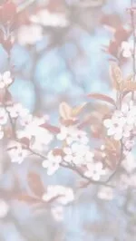 Buckhead's Restaurant & Chop House — photo 4