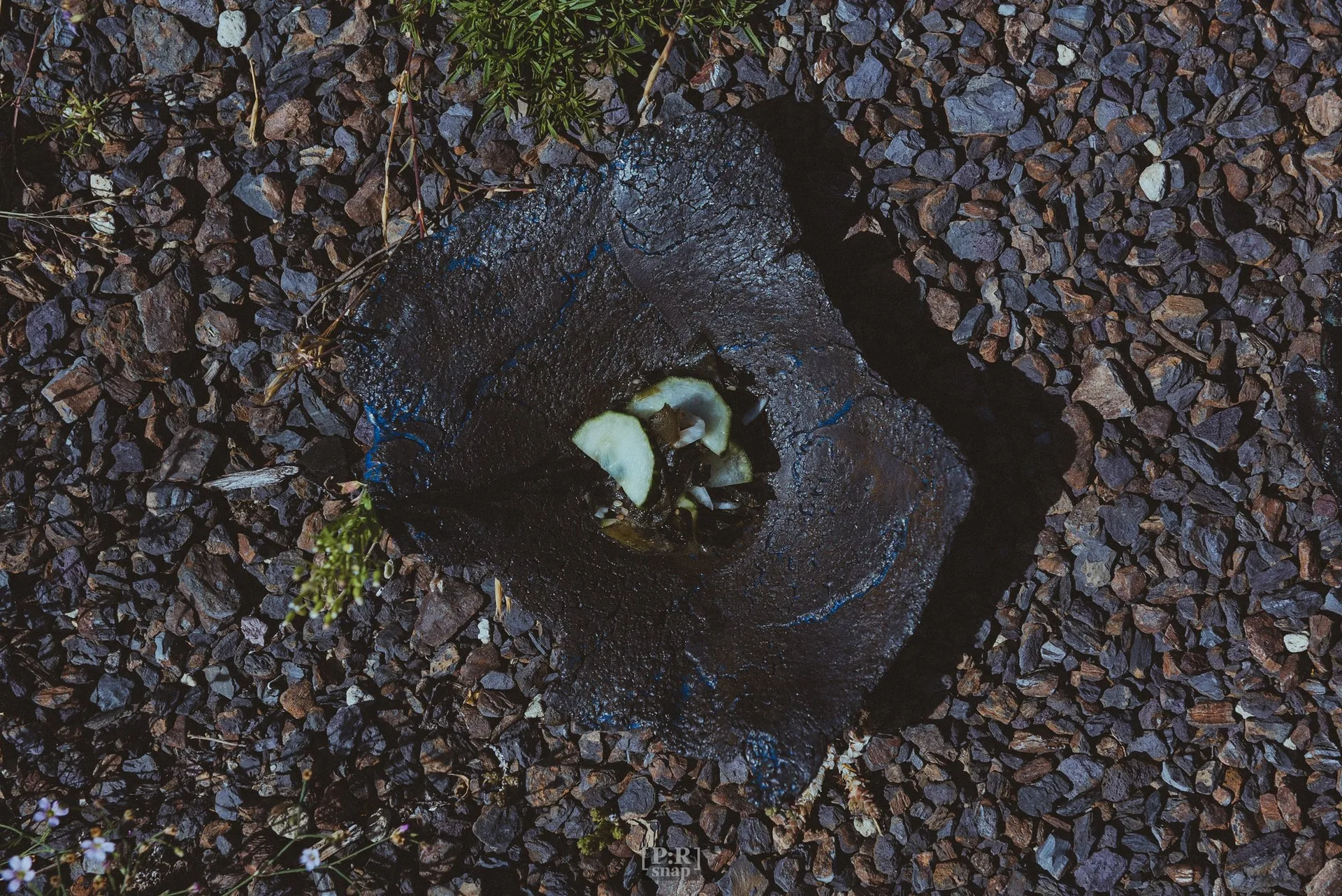 NaNum — photo 6