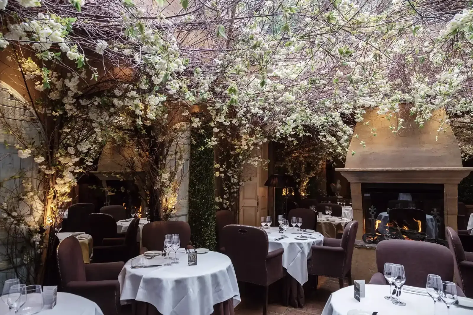 Clos Maggiore — photo 6