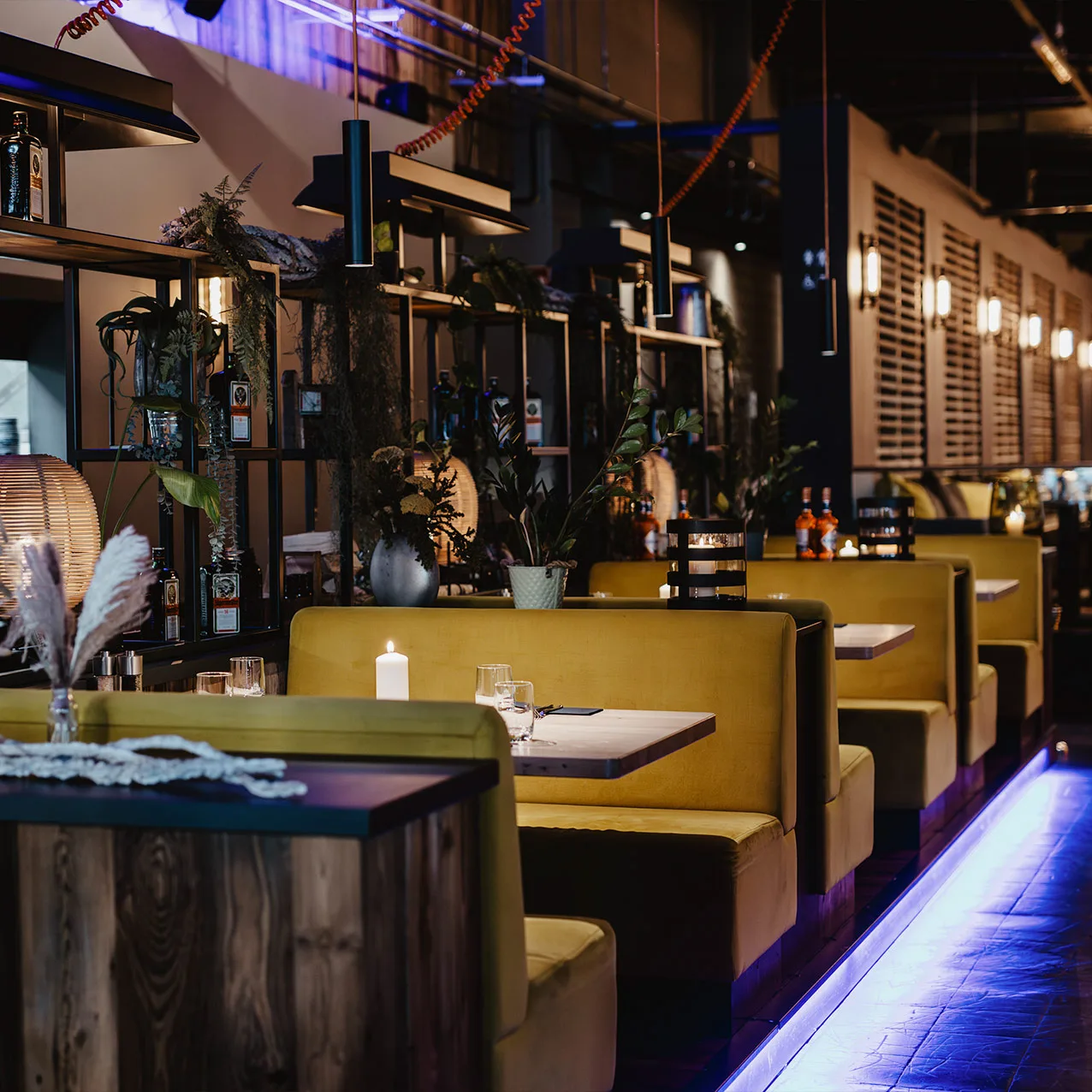 Justus Restaurant — photo 27