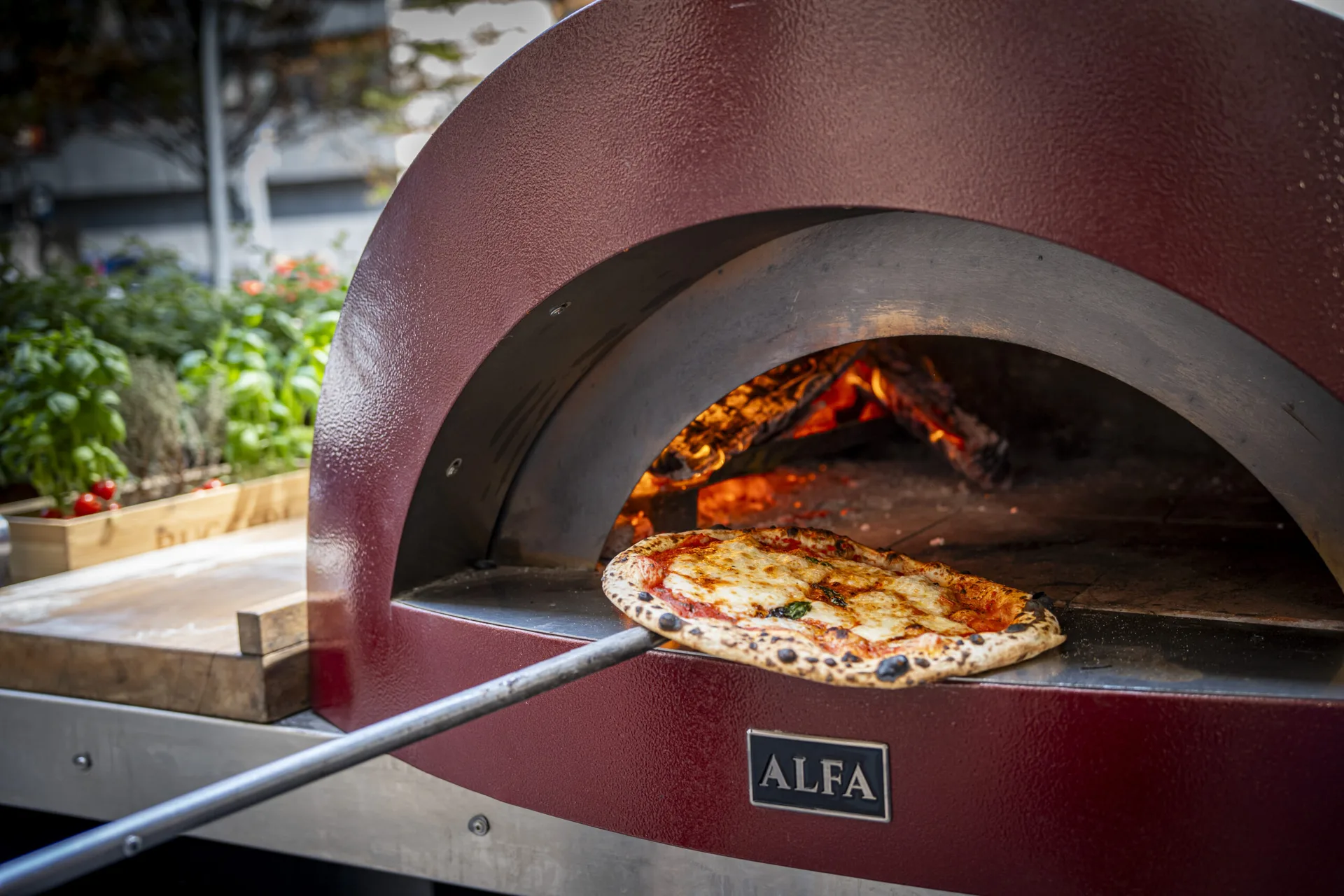 Pizzabar Pomo D'oro — photo 9
