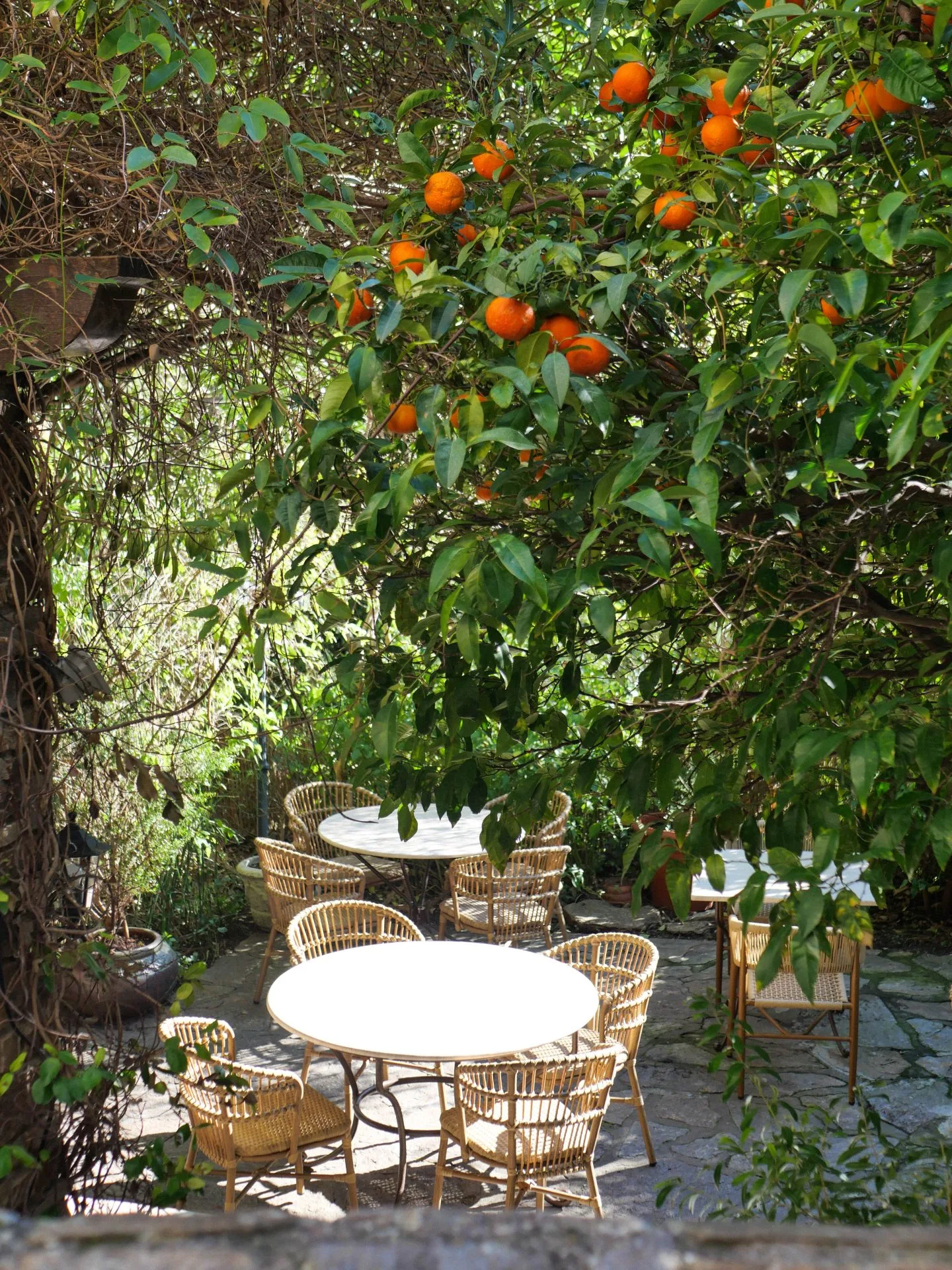 Le Jardin — photo 36