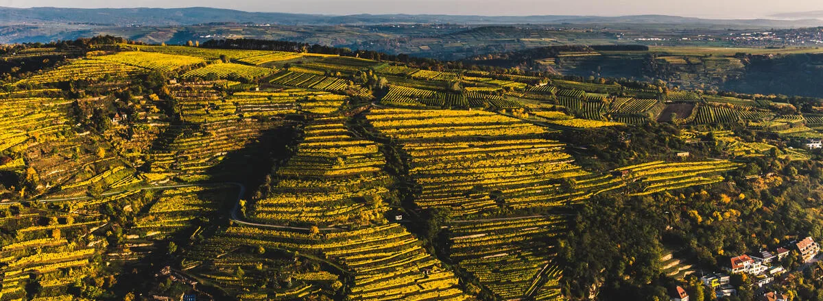Weingut Nigl — photo 35