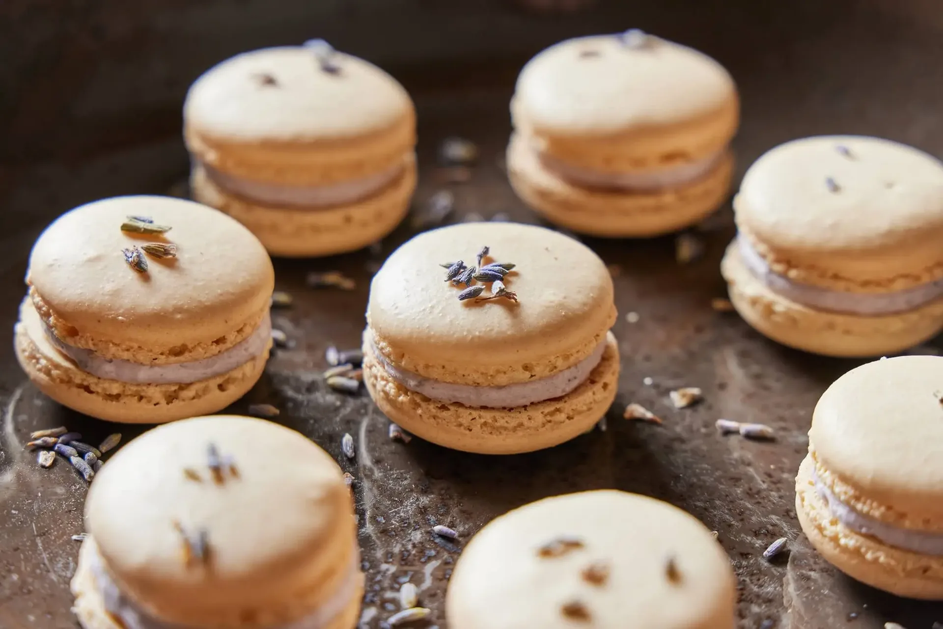 Catalyst Restaurant — food