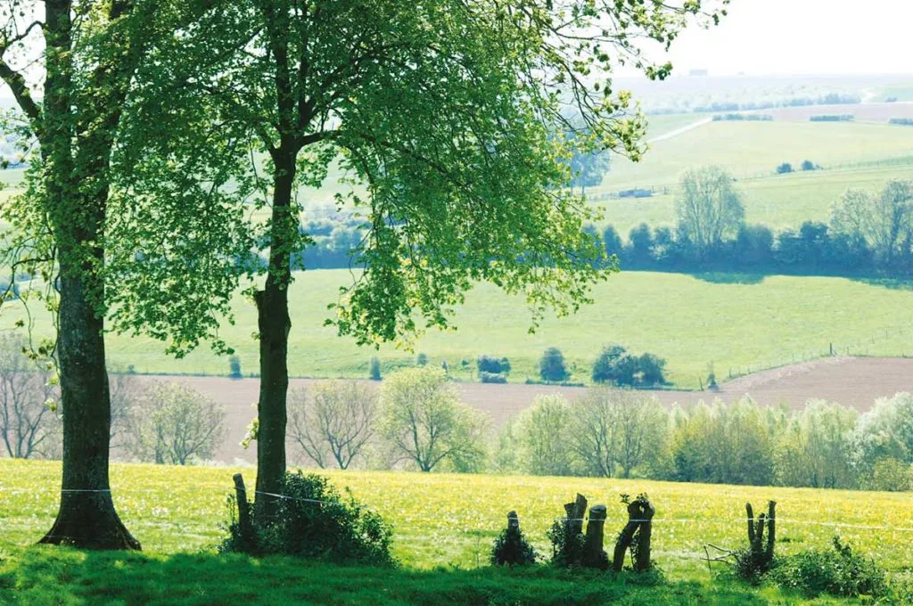 Le Clos de la Prairie — photo 4