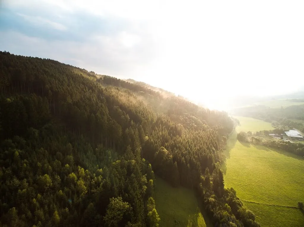 Mariandl im Oberwirt — atmosphere