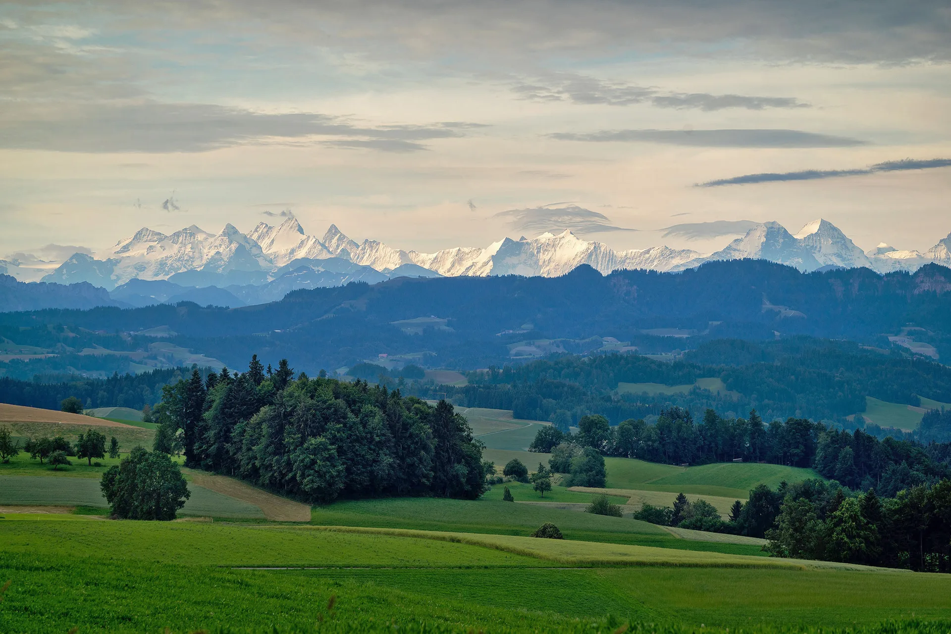 Landgasthof Sonne — photo 6