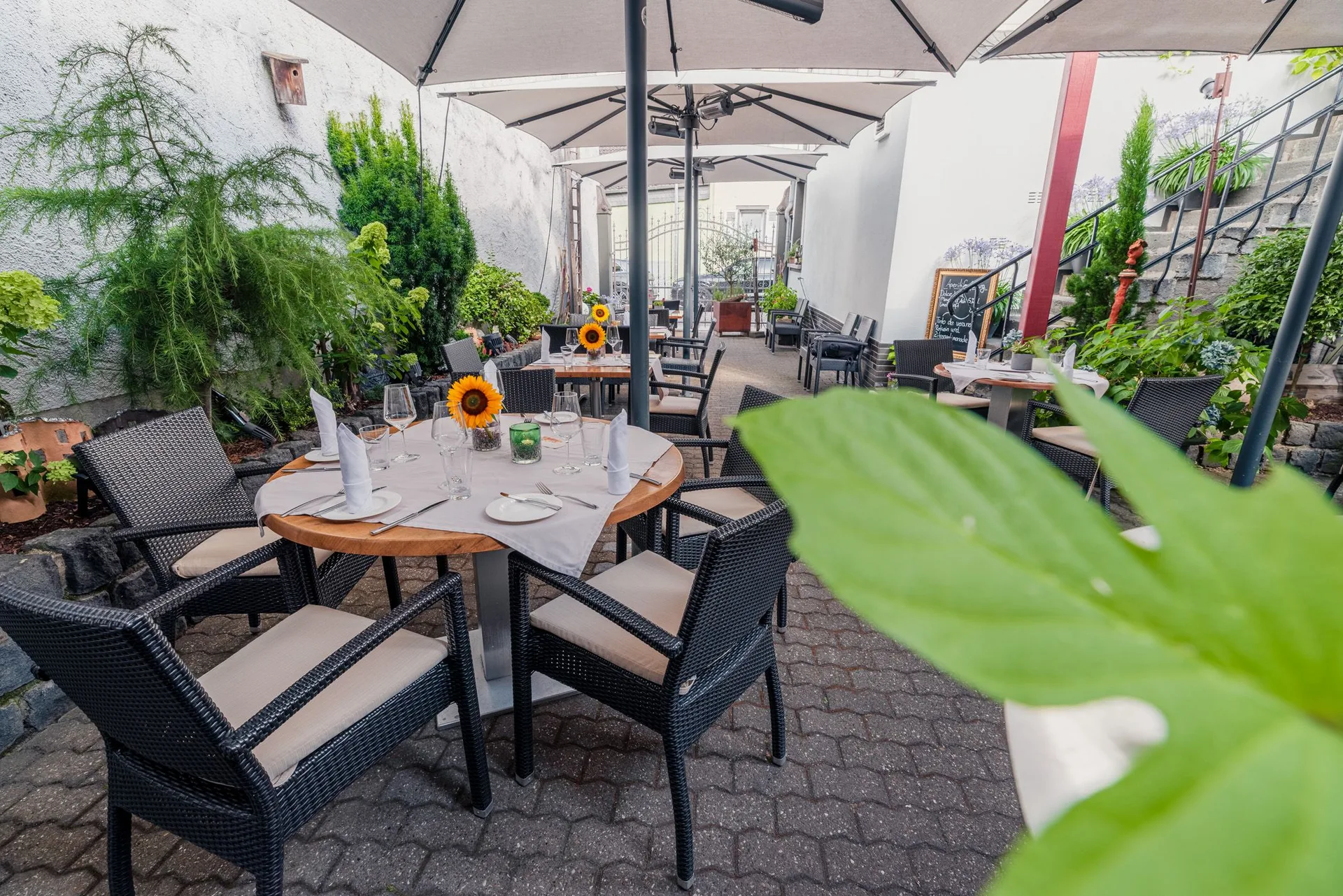 Restaurant „Zur Linde“ — photo 33