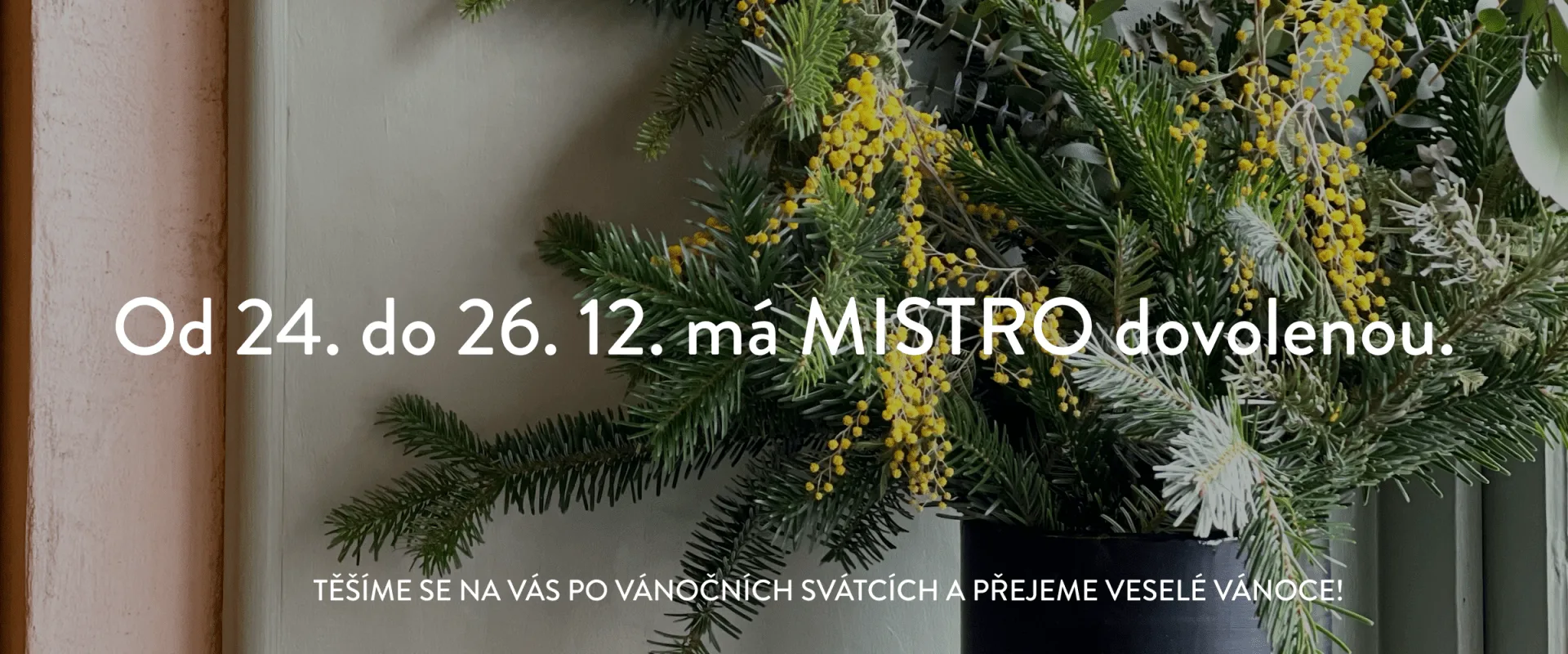 MISTRO — photo 27