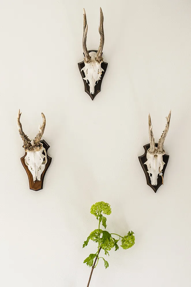 De Gouden Bock — photo 19