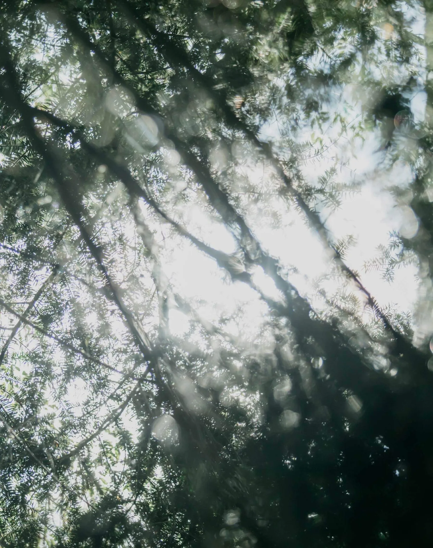 Lurra — photo 4