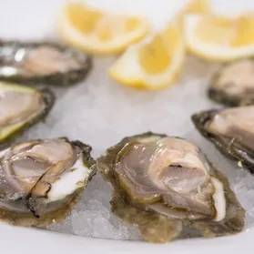 Bota Oyster&Sushi Bar — food