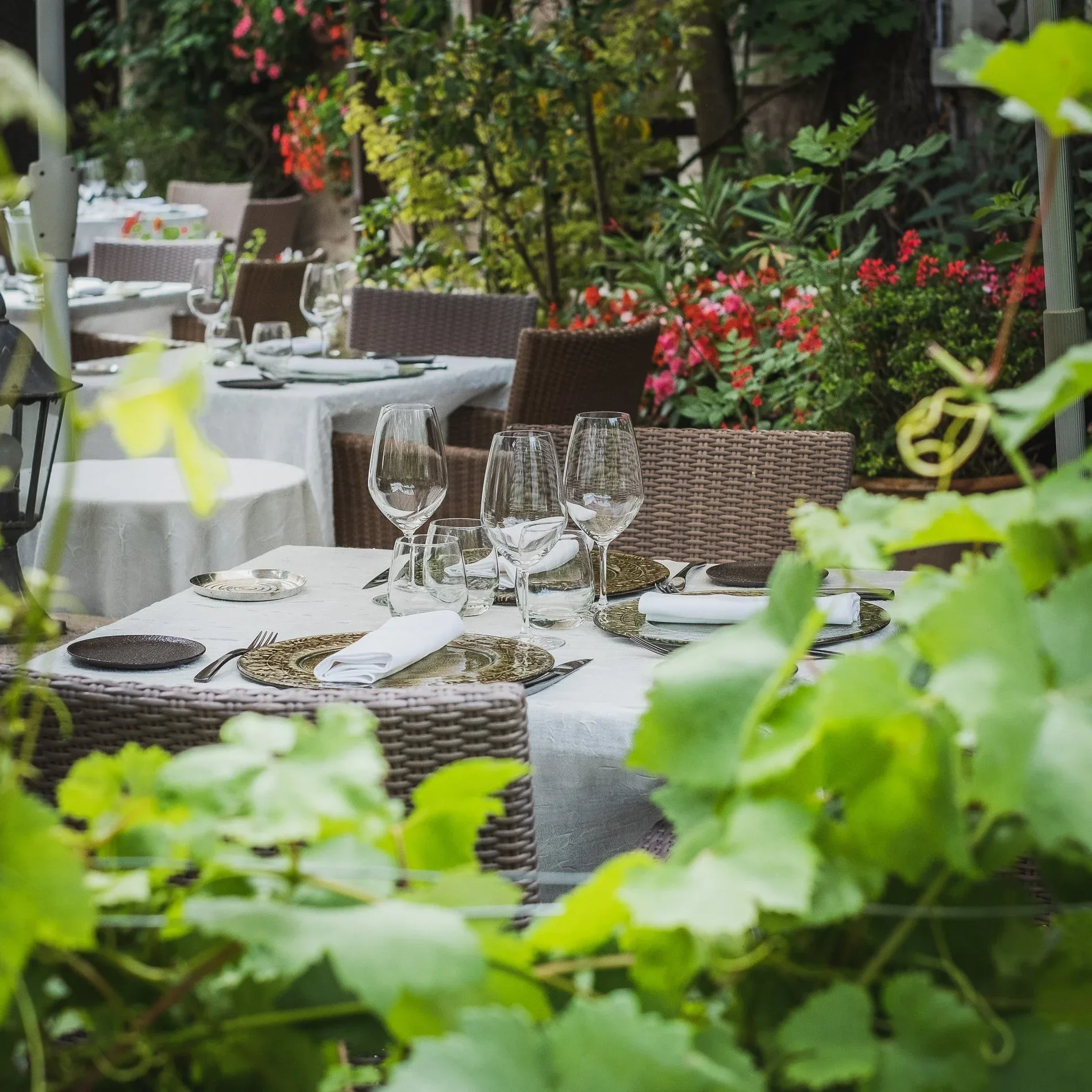 Auberge du Bon Laboureur — photo 35