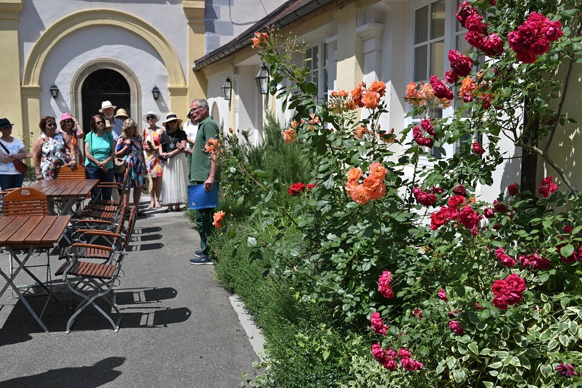 Restaurant Schloss Weitenburg — photo 21