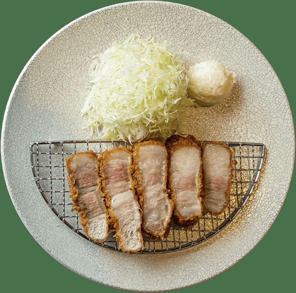 Tonkatsu KATSU Hana — photo 56