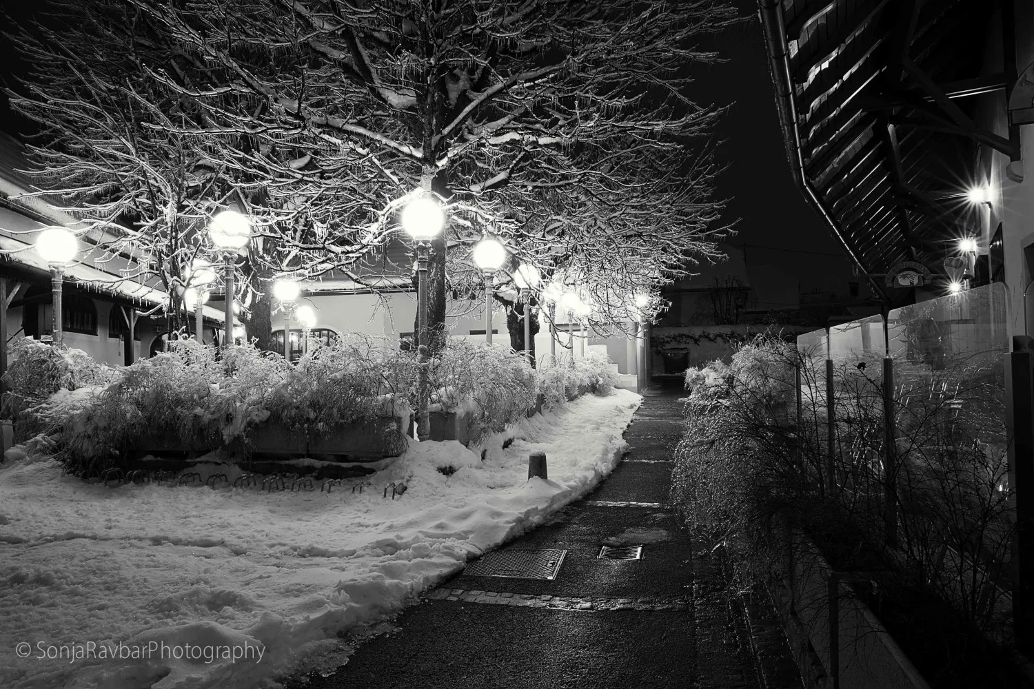 Pri Žabarju — photo 32