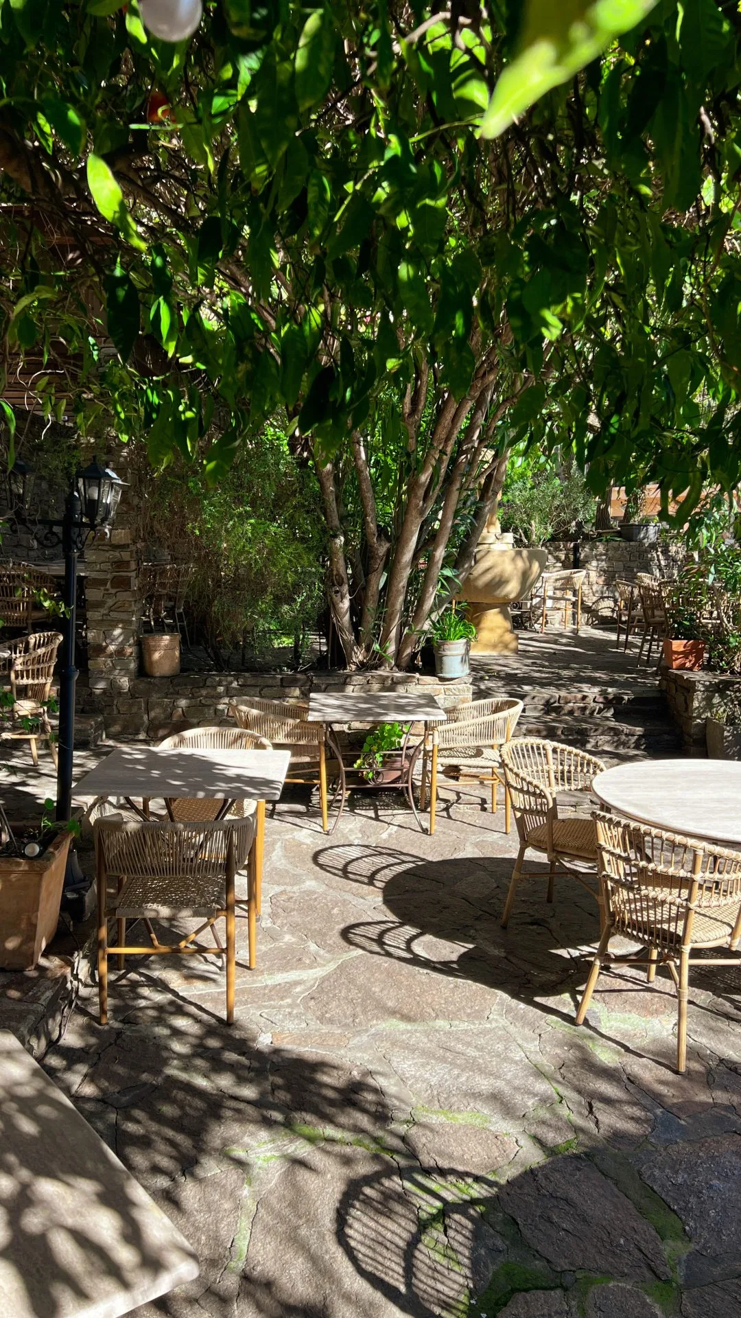 Le Jardin — photo 33