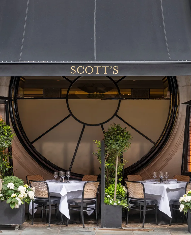 Scott's — photo 29