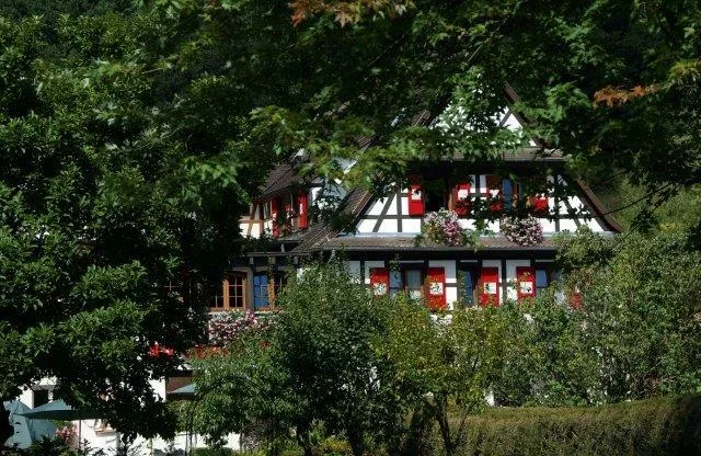 Au Cheval Blanc — photo 9