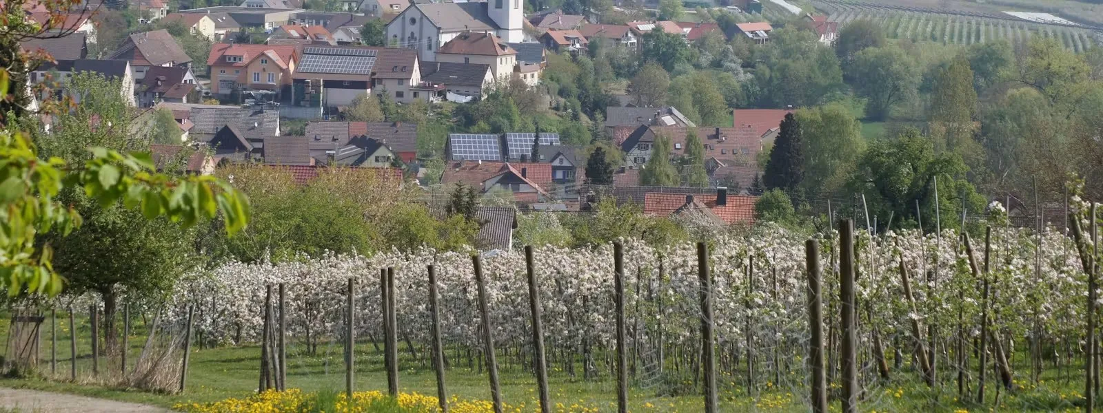 Gasthof zum Adler — photo 32
