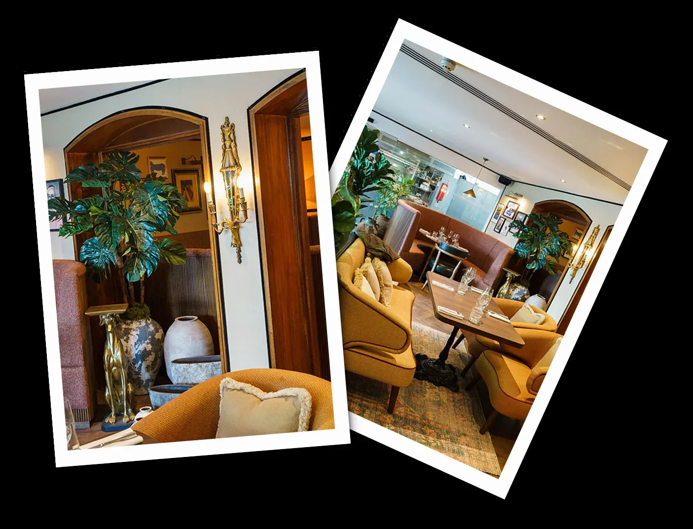 The Dax — photo 28