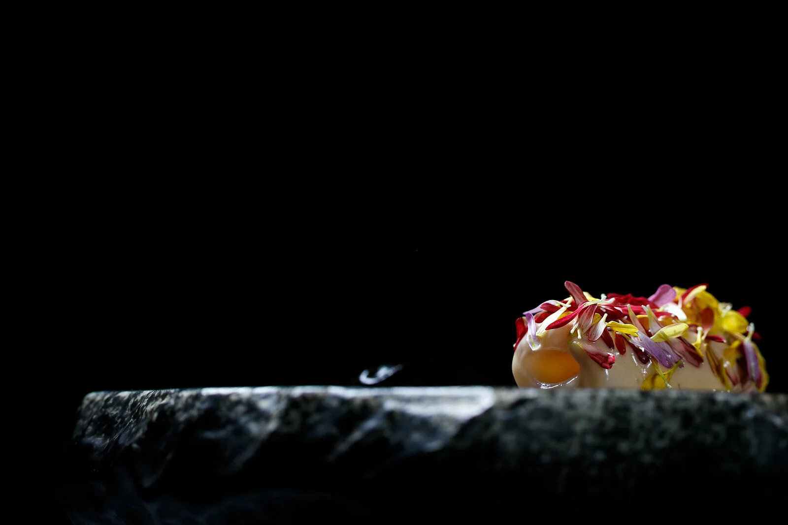 Alinea — photo 29