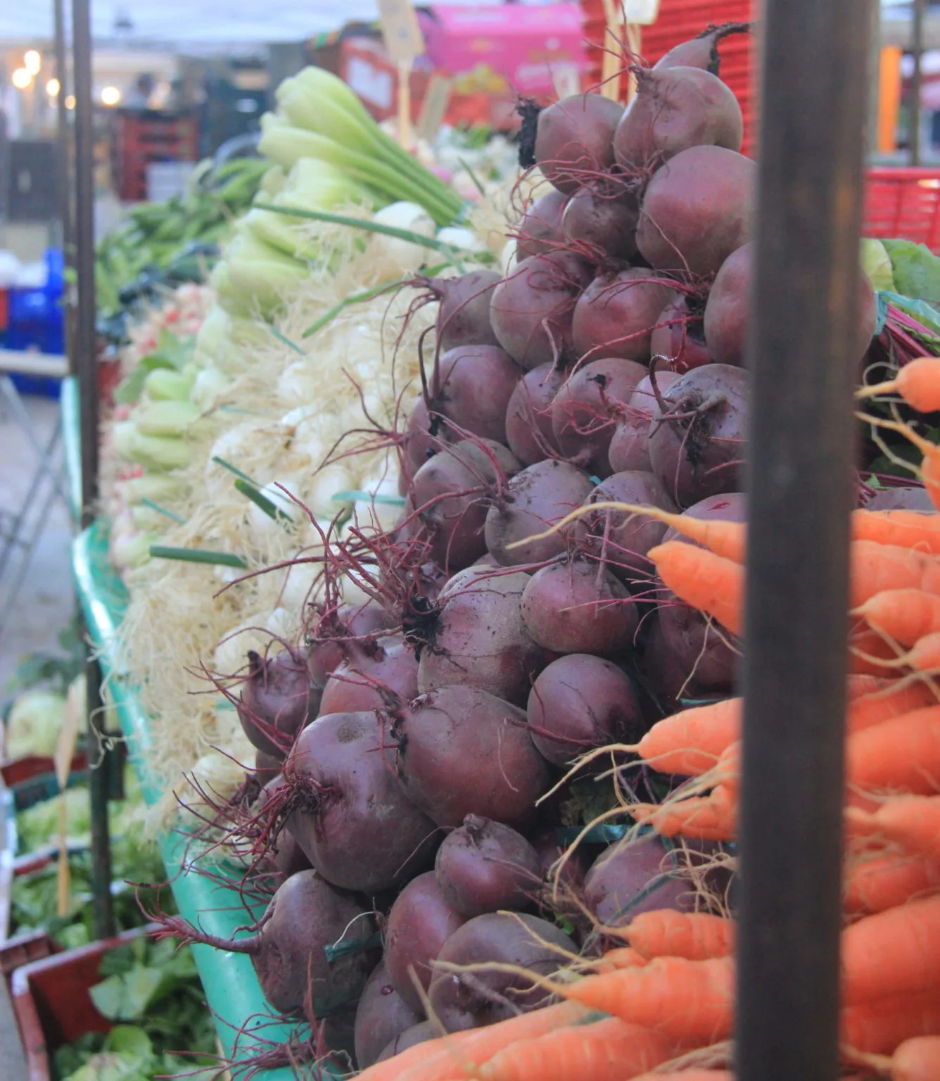En Pleine Nature — photo 10