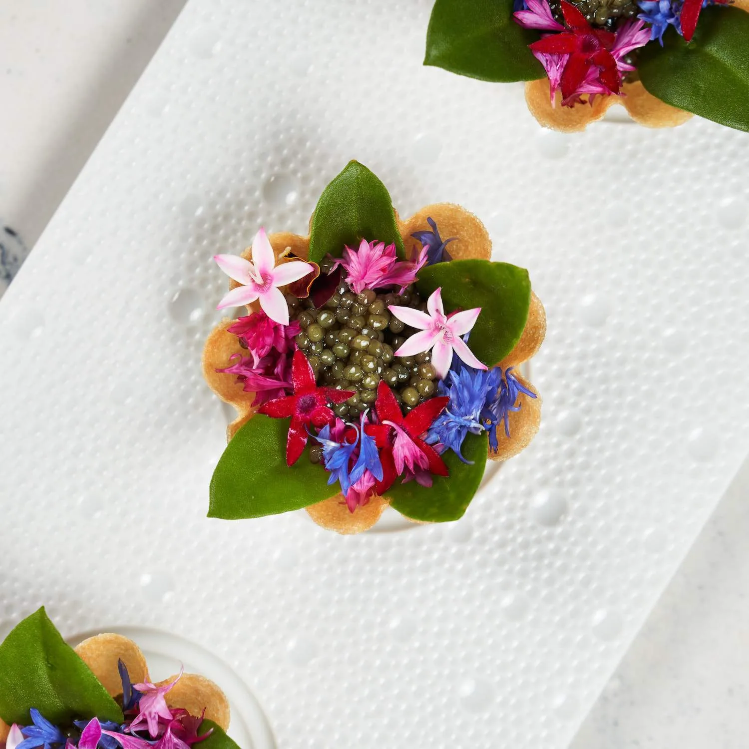 Caviar Russe — photo 8