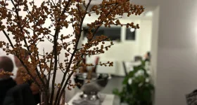 Au gré des Saisons — photo 25