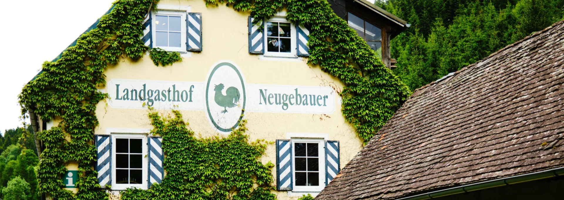 Neugebauer — photo 10