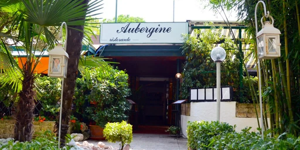 Aubergine — photo 10